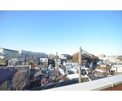 【展望】 | Windflower