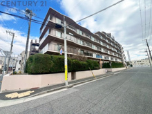 コープ野村東灘青木の画像