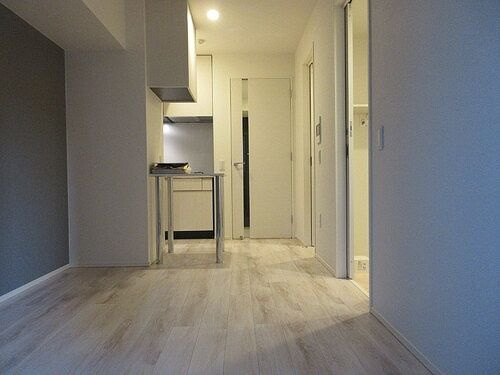 ライオンズ浅草橋ミレスの居間・リビング