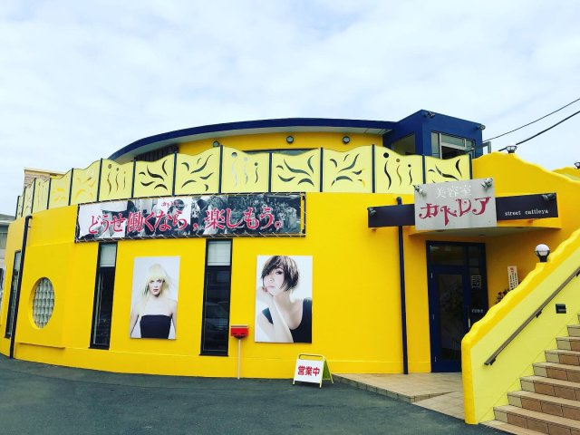 掘割 カトレアストリート店 2階 店舗の外観|2階　店舗 募集中
1階　カトレア営業中