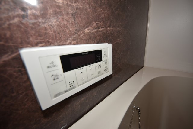 ジョイアナンバ