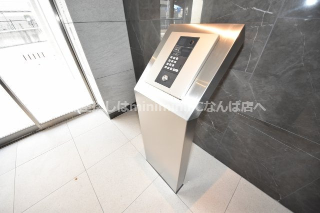 ジョイアナンバ