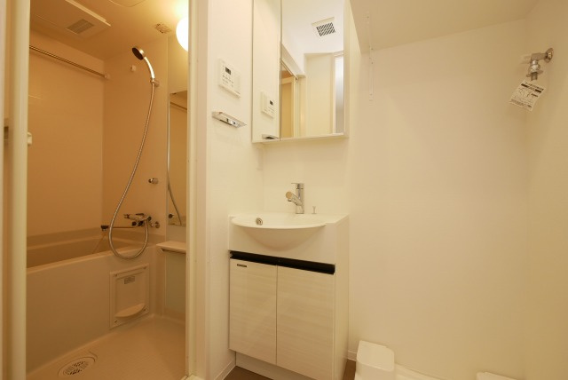 クレアグレイス岸里の洗面所