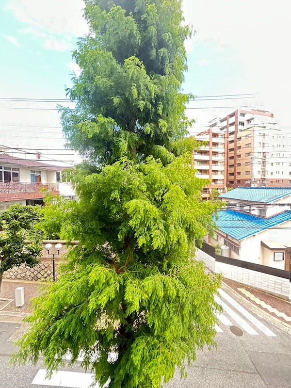 エスリード中山手県庁前の展望