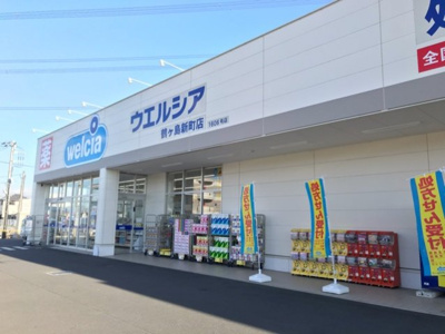 【周辺】 | カンタービレ | ウエルシア鶴ヶ島新町店まで400m