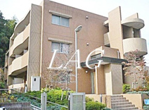 シャリテ　花澤の画像