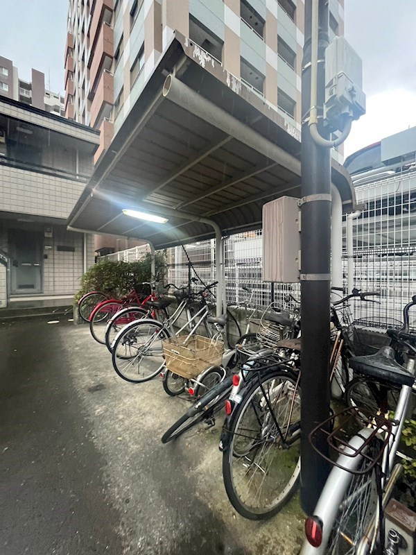 オリーブの外観