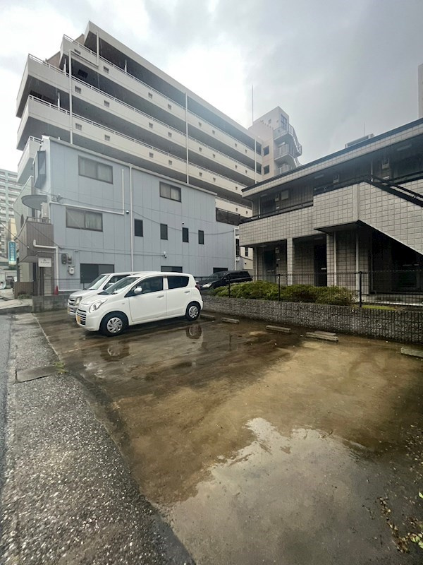 オリーブの外観