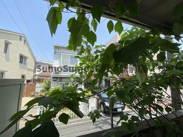 ジョイフルハイツの展望