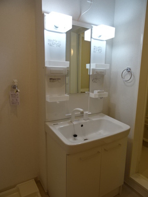 【洗面所】 | レフィナードルーチェ