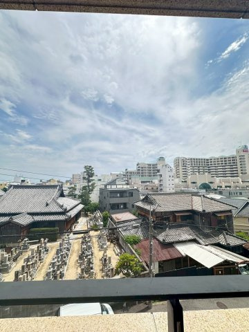 シルバーウィリアムスの展望