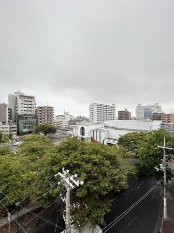ストランドパレー灘の展望