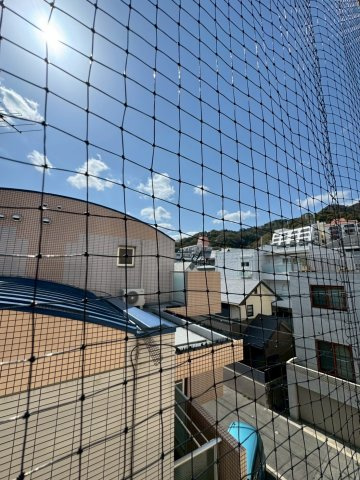 グリーンマンションの展望