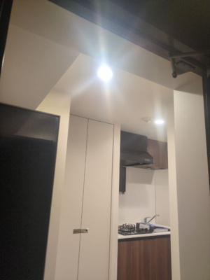 【内装】 | レアライズ武蔵小杉Ⅱ