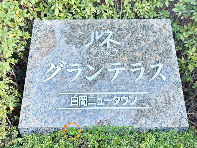 ルネ・グランテラスのその他