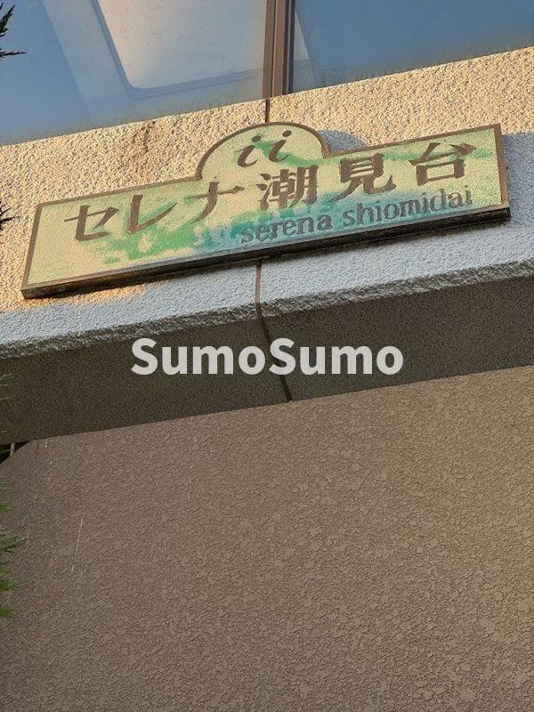 セレナ潮見台の外観|きれいな外観です