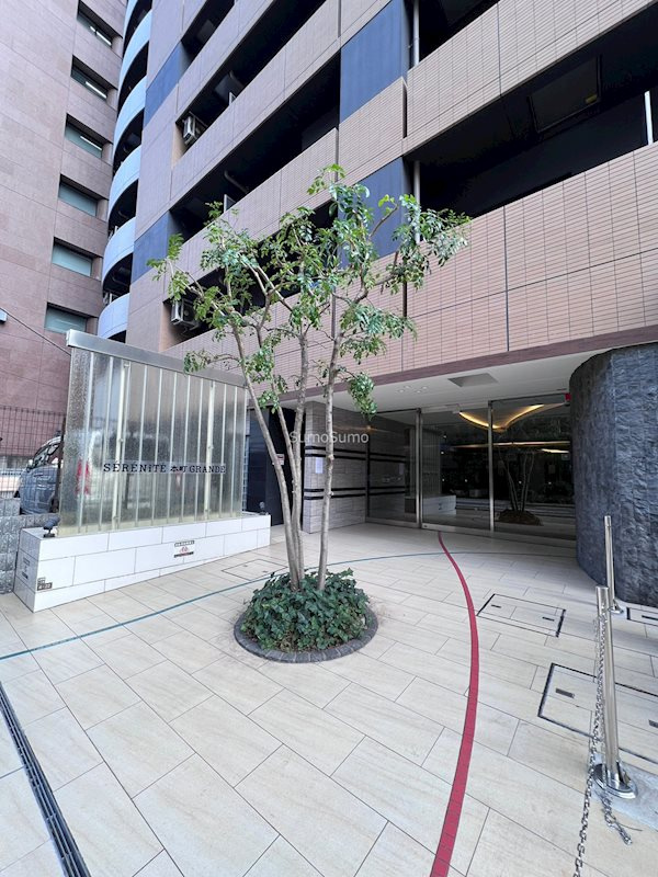 セレニテ本町グランデのエントランス