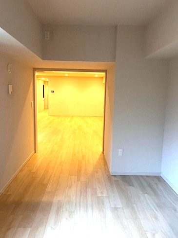 ◆ＬＤＫ広々２０帖以上の角住戸◆３沿線利用可◆ペット飼育可能（規約有）◆プレミスト京都烏丸御池２番館の洋室|洋室