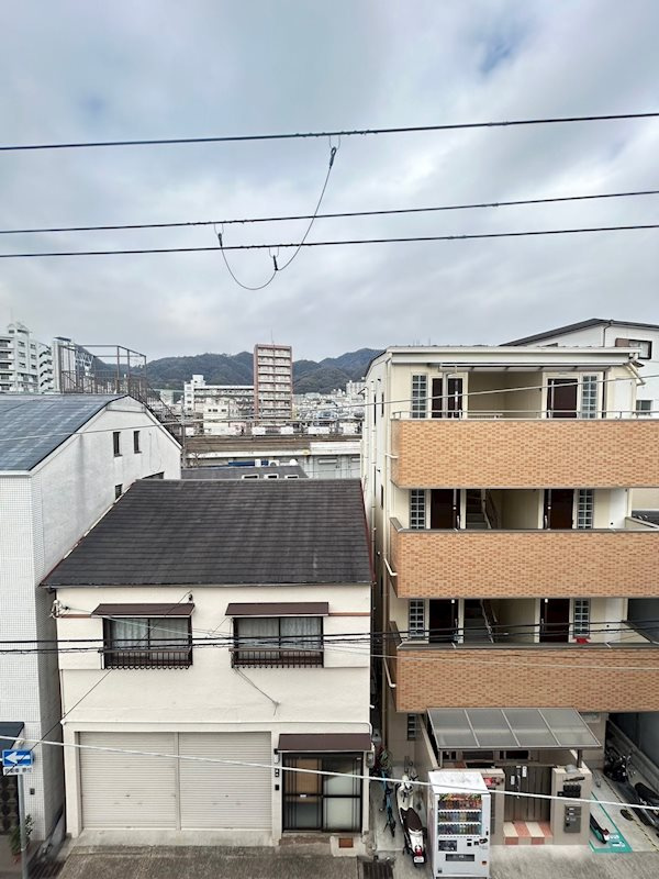 コットンアレーの展望