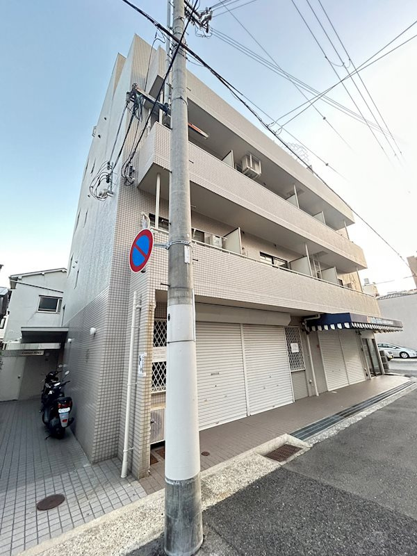 コットンアレーの外観