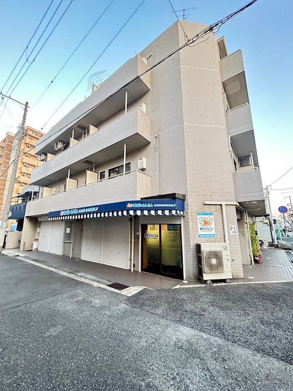 コットンアレーの外観