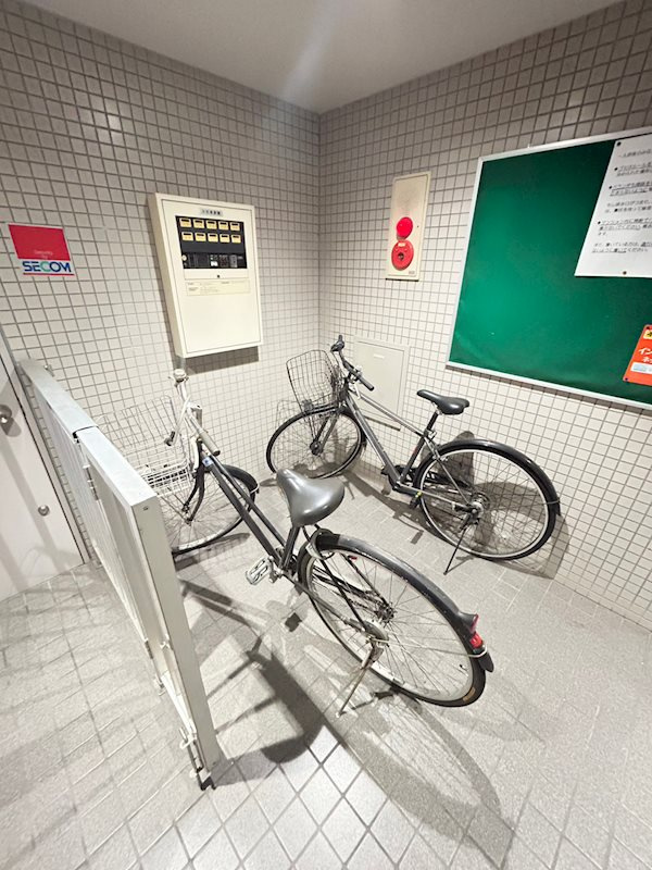 コットンアレーの外観