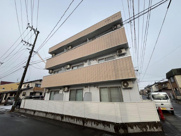 エバーグリーンの画像