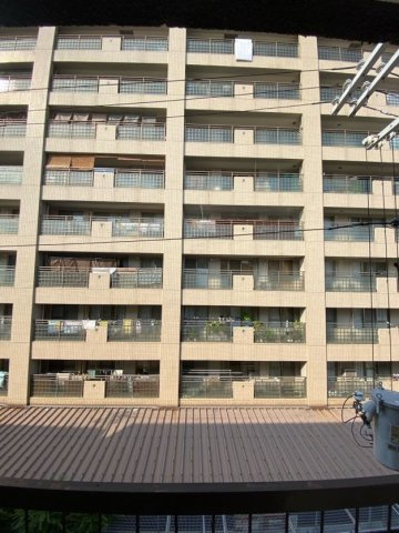 ニューヤングハイツ 南館の展望