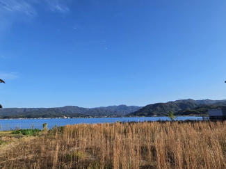 【周辺】 | レークサイド・ヴィレッジゆりはま