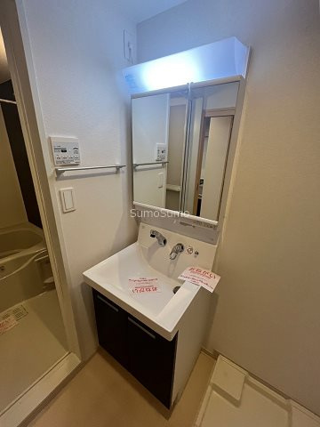 ノーサイド立葉の洗面所