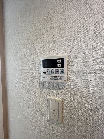 ノーサイド立葉のその他