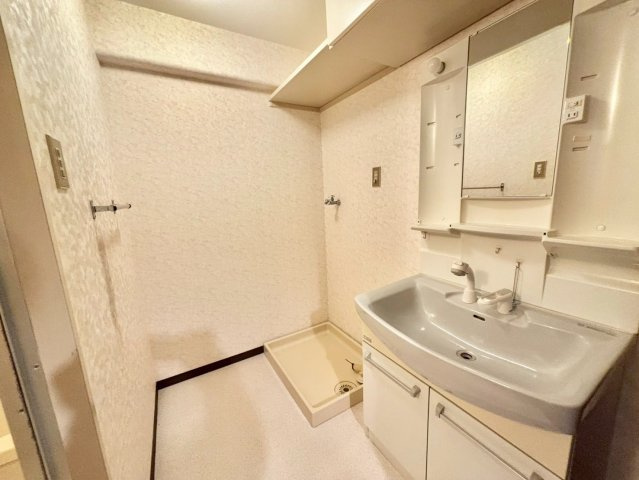 シャルマンフジ熊取 壱番館の洗面所|洗面所