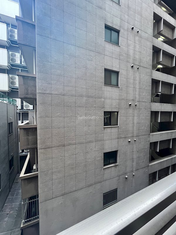 フェニックス日本橋高津の展望