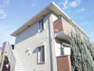 シャルマンの画像