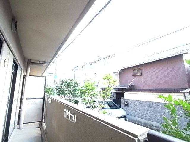 ピンリーブルⅡの展望
