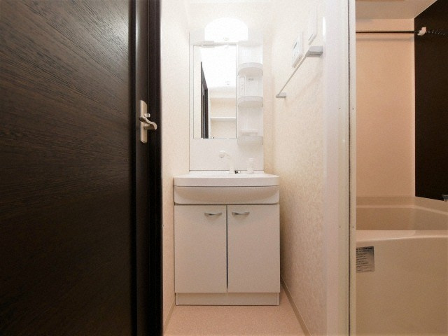 Luxe海老江IIの独立洗面台