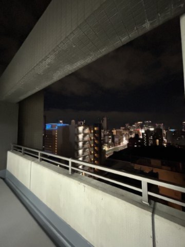 フェニックス日本橋高津の展望