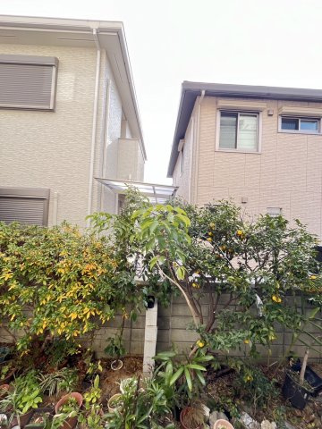 シトラス住吉ＳＫＹＥ３（スカイエ３）の展望