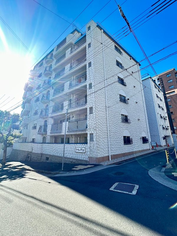 シャトー野崎の外観