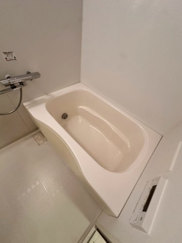 シャーメゾン豊楽Aの浴室