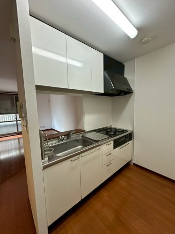 シャーメゾン豊楽Aのキッチン