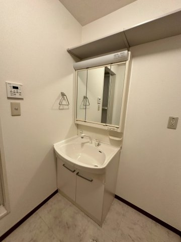 シャーメゾン豊楽Aの洗面所