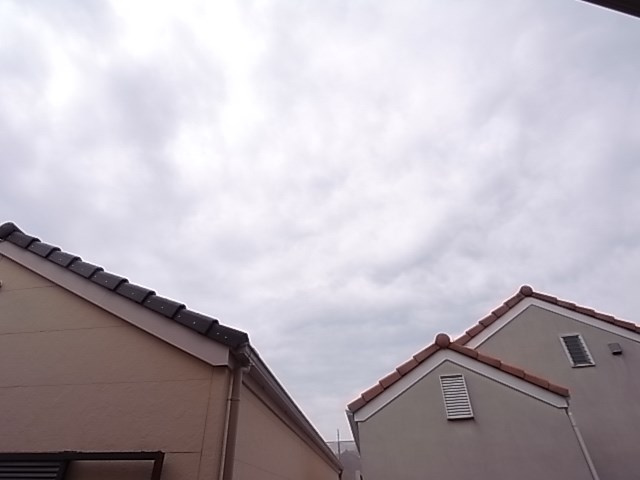 ソレイユ長洲の展望