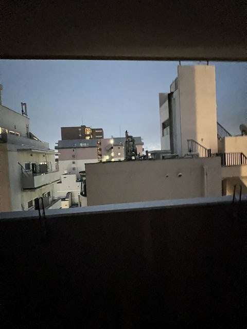 フレシール昭和通の展望