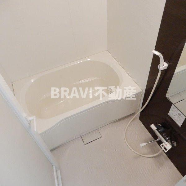 フォーゼ安堂寺　BRAVI不動産の浴室