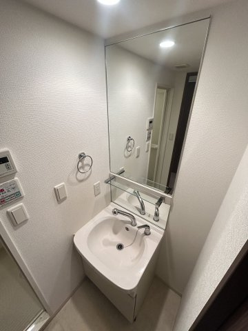 プレサンス難波フィネストの洗面所