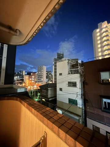 タイホウハイツ敷津４番館の展望