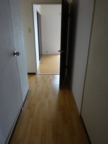 レジデンス島A棟の内装|玄関から入ってリビングまでの通路です