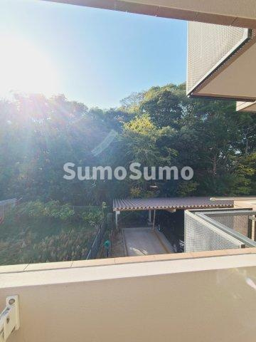 ビアンディールⅢの展望