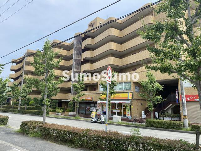 マブランシェット弦月